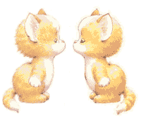 chatons